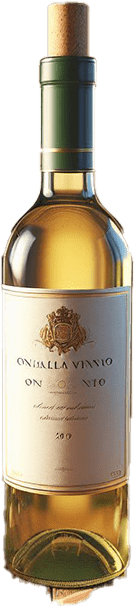  Welcome to your all-in-one destination in the Philippines! Settle into our welcoming accommodations, then treat your taste buds at our restaurant, featuring both elegant fine dining and authentic local cuisine, including special 8-course meals. Explore the islands with our tourist tours and car rentals, or let our shuttle service handle your transport. Find unique treasures in our handcrafted clothing line, unwind with yoga and massage, or catch some waves with our surfboard rentals. Join us at the bar, order takeaway, or book us for your next celebration or corporate event – we even offer magical beach dining setups. We also have a selection of reads and software in our bookstore and software store.