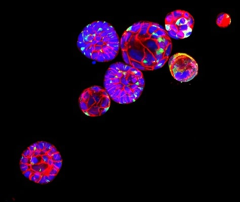  Welcome to your all-in-one destination in the Philippines! Settle into our welcoming accommodations, then treat your taste buds at our restaurant, featuring both elegant fine dining and authentic local cuisine, including special 8-course meals. Explore the islands with our tourist tours and car rentals, or let our shuttle service handle your transport. Find unique treasures in our handcrafted clothing line, unwind with yoga and massage, or catch some waves with our surfboard rentals. Join us at the bar, order takeaway, or book us for your next celebration or corporate event – we even offer magical beach dining setups. We also have a selection of reads and software in our bookstore and software store.