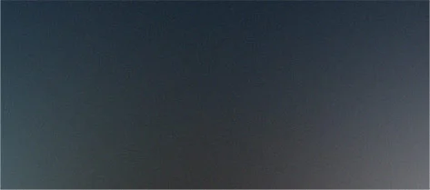 Family Enjoying a Tour